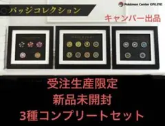 2026年最新】バッジ チャンピオンロードセットの人気アイテム - メルカリ