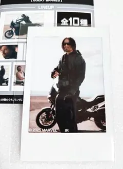 2026年最新】バッキー フォトカードの人気アイテム - メルカリ