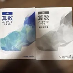 2026年最新】早稲田アカデミー 小6 バックアップテキストの人気