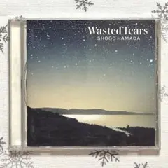 2026年最新】浜田省吾 WASTED TEARSの人気アイテム - メルカリ