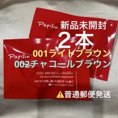 2026年最新】パピリオ ステイブロウ チャコールの人気アイテム - メルカリ