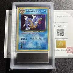 2026年最新】わるいギャラドス 旧裏 psa10の人気アイテム - メルカリ