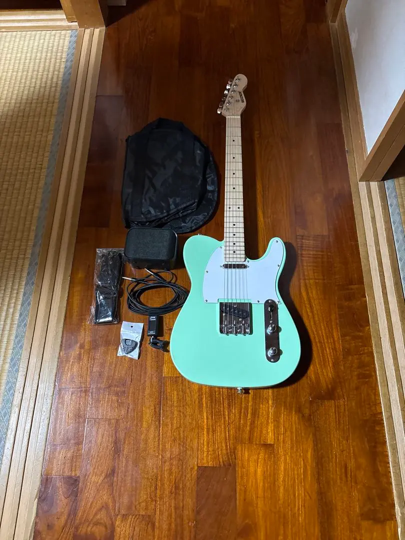 2026年最新】SELDER エレキギター グリーンの人気アイテム - メルカリ
