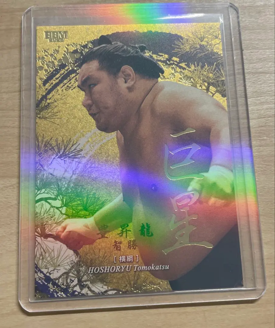 2026年最新】豊昇龍 サインの人気アイテム - メルカリ