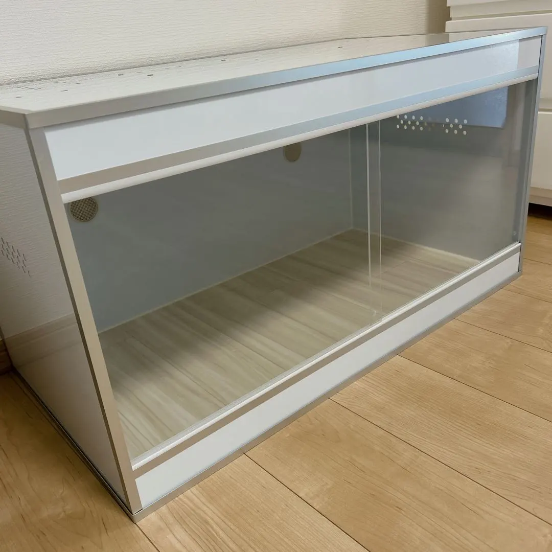 2026年最新】フトアゴヒゲトカゲ飼育セットの人気アイテム - メルカリ