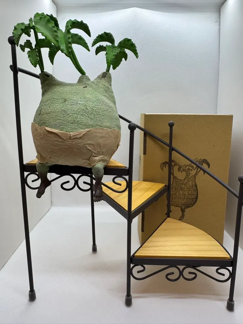 2026年最新】オズワート ozwrtの人気アイテム - メルカリ