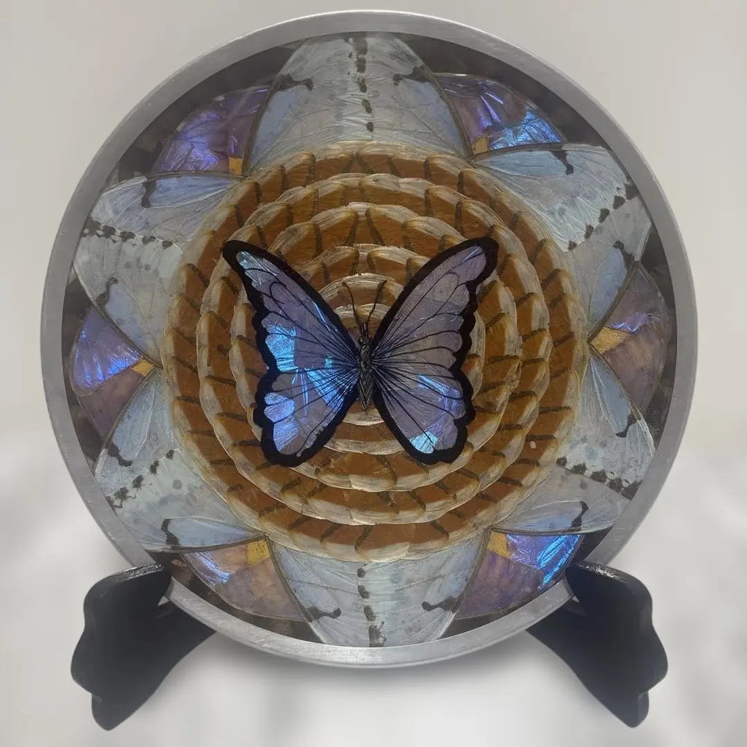 2026年最新】ブラジルモルフォ蝶壁掛けの人気アイテム - メルカリ
