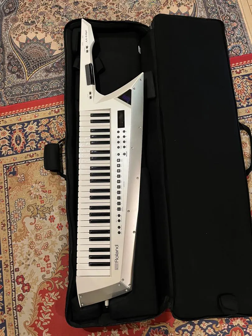 2026年最新】roland ax-edgeの人気アイテム - メルカリ