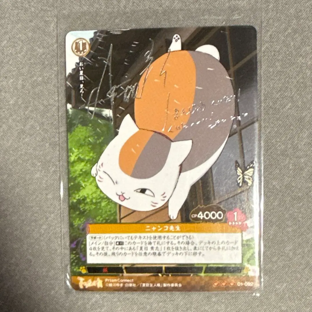 m23200983549_1.jpg?1762521649