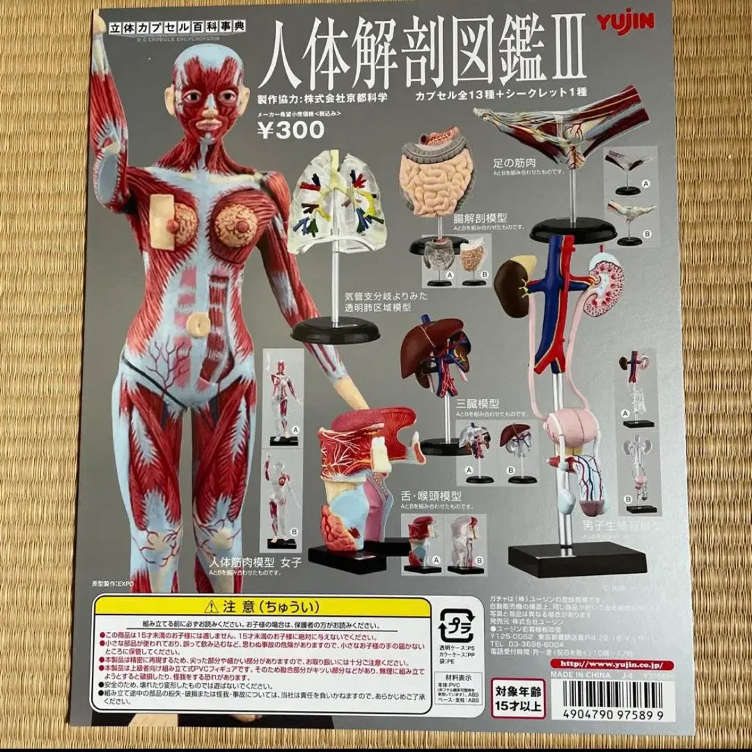 2026年最新】人体解剖図鑑 ユージンの人気アイテム - メルカリ