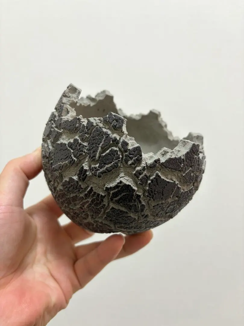 2026年最新】fang konectの人気アイテム - メルカリ