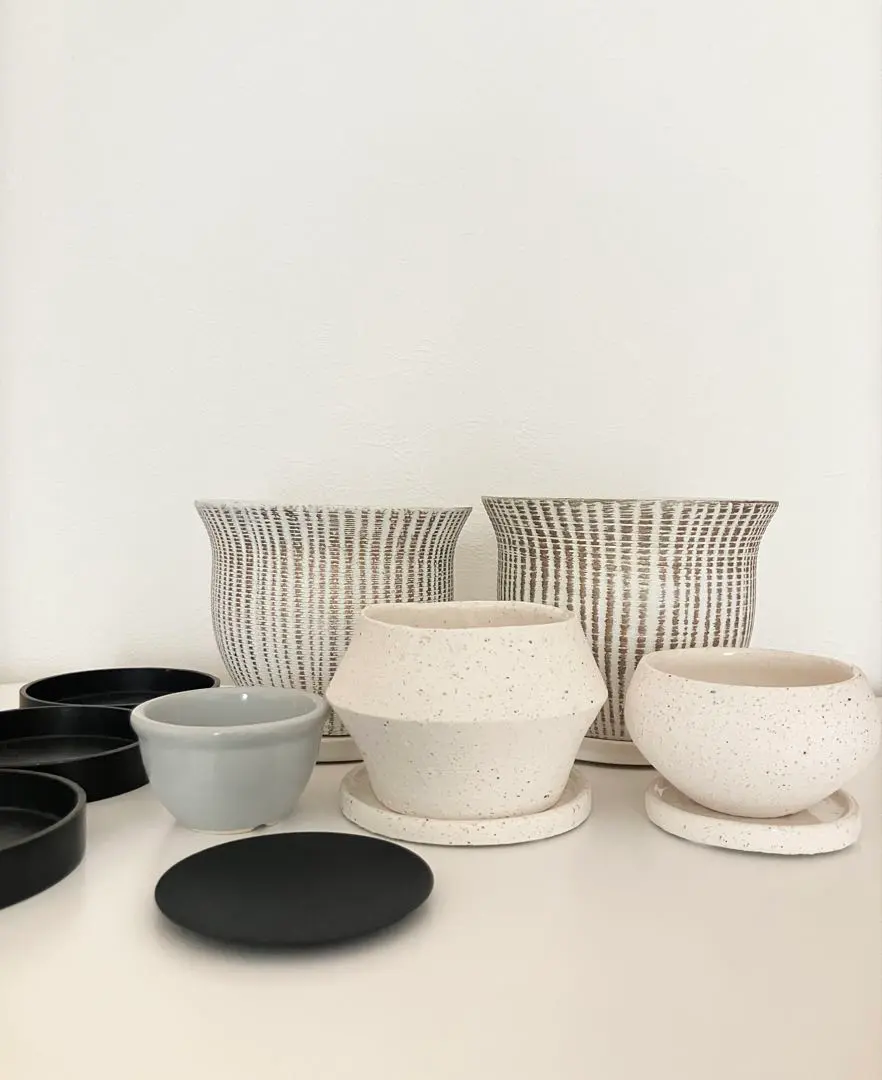 2026年最新】toky 鉢の人気アイテム - メルカリ