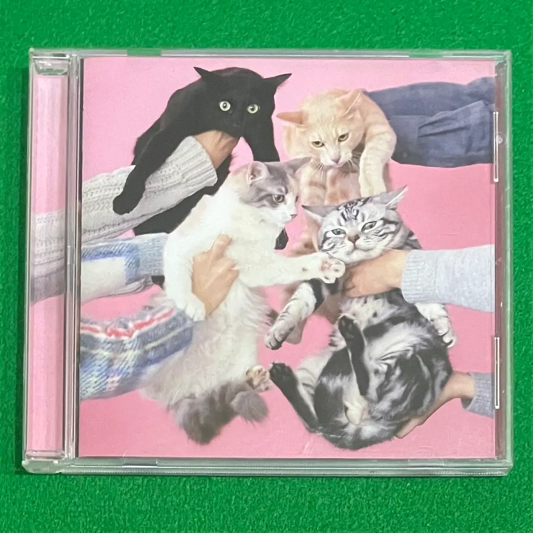 2026年最新】きのこ帝国 猫とアレルギーの人気アイテム - メルカリ