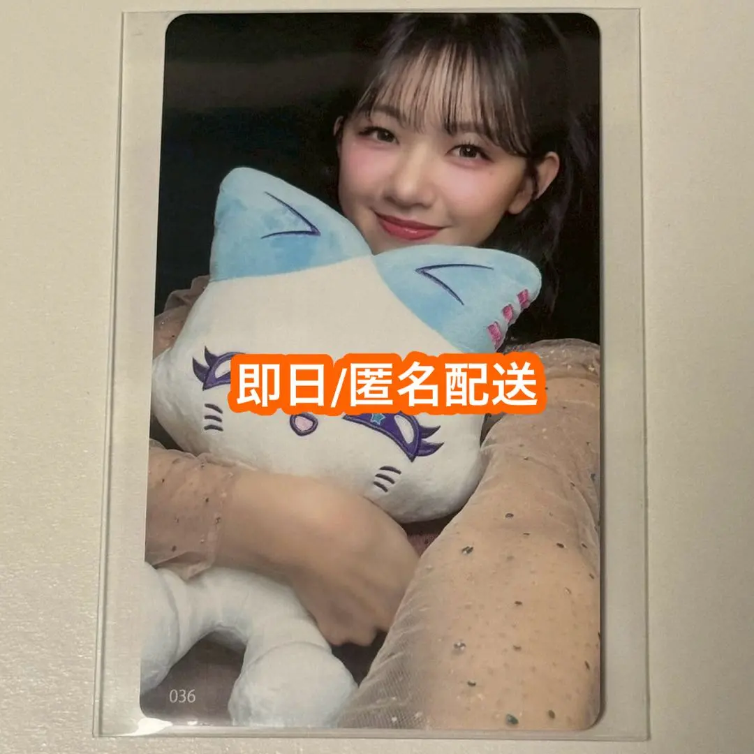 2026年最新】ミャイ コロンの人気アイテム - メルカリ