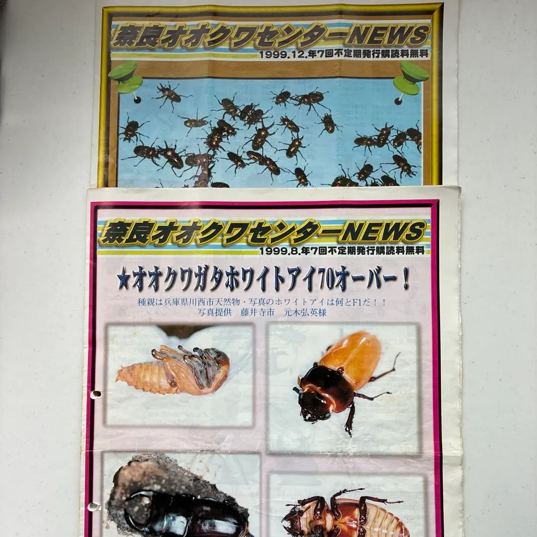 2026年最新】奈良オオクワセンターの人気アイテム - メルカリ