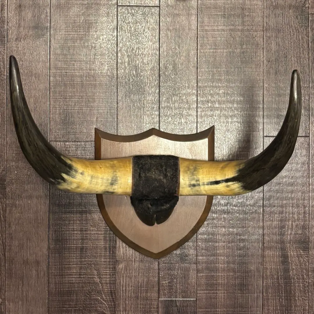 2026年最新】水牛 角 オブジェの人気アイテム - メルカリ