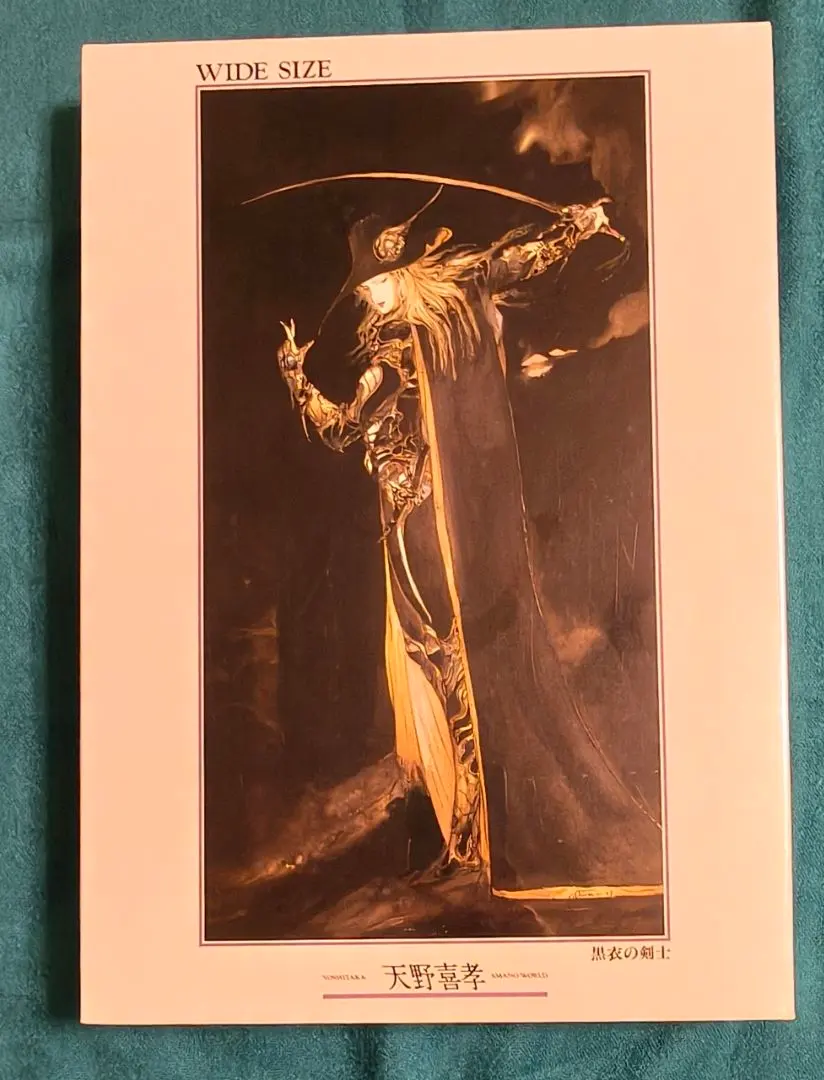 2026年最新】天野喜孝 黒衣の剣士の人気アイテム - メルカリ