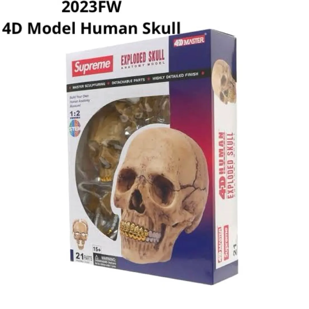 2026年最新】Supreme 4D Model Human Skullの人気アイテム - メルカリ