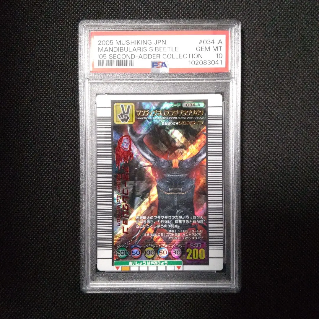 2026年最新】マンディブラリスフタマタクワガタ アダーの人気アイテム