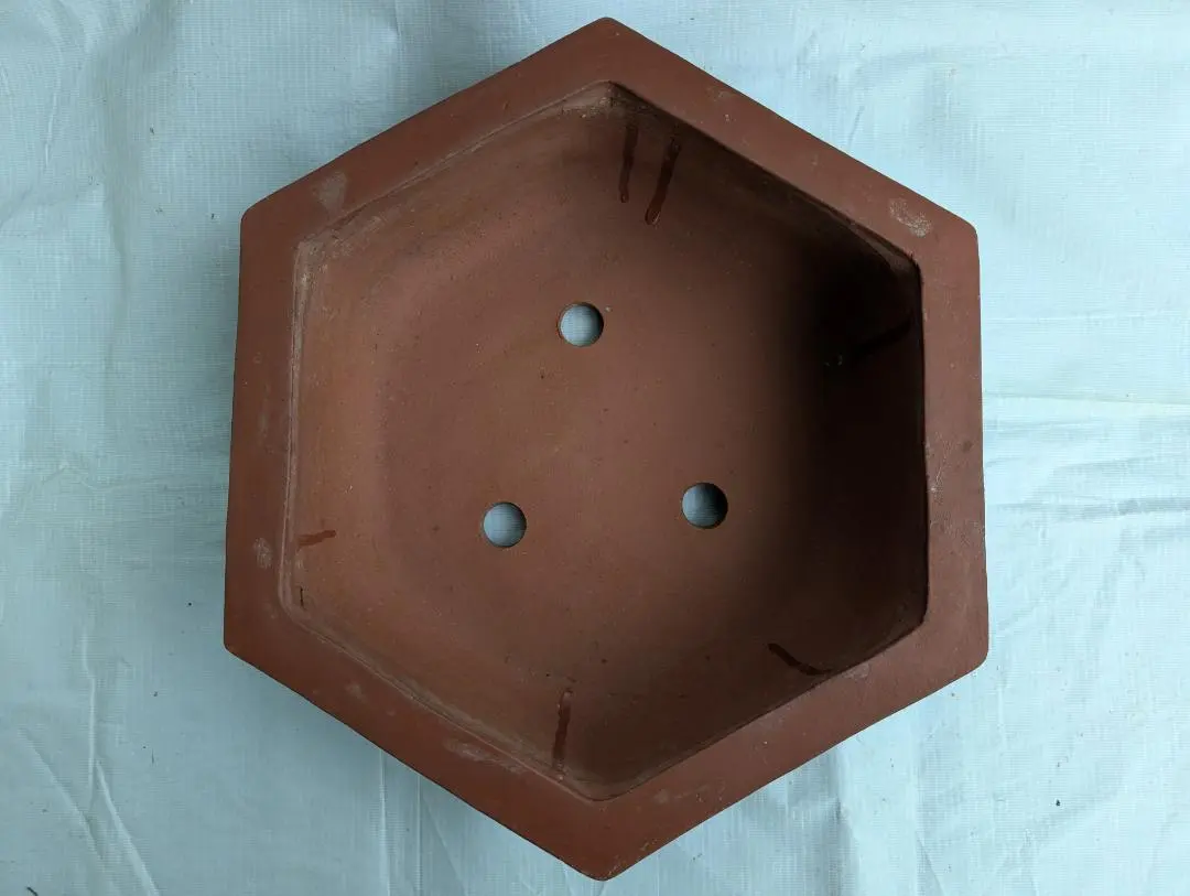 2026年最新】中国 植木鉢 朱泥の人気アイテム - メルカリ