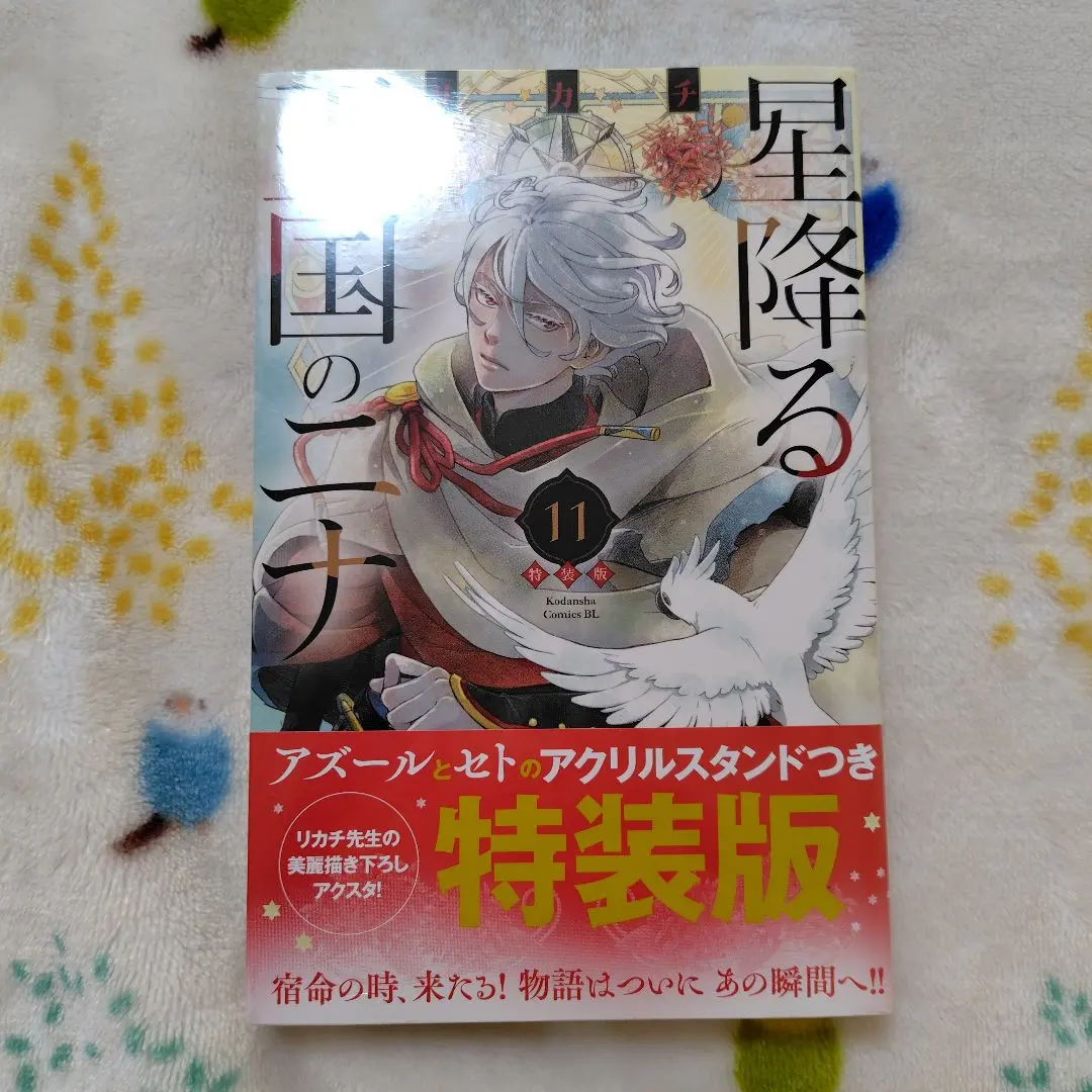 2026年最新】星降る王国のニナ 特装版の人気アイテム - メルカリ