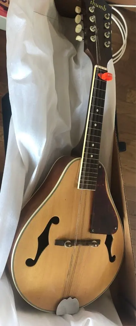 寺田楽器THUMB.MW-300ハードケース付き