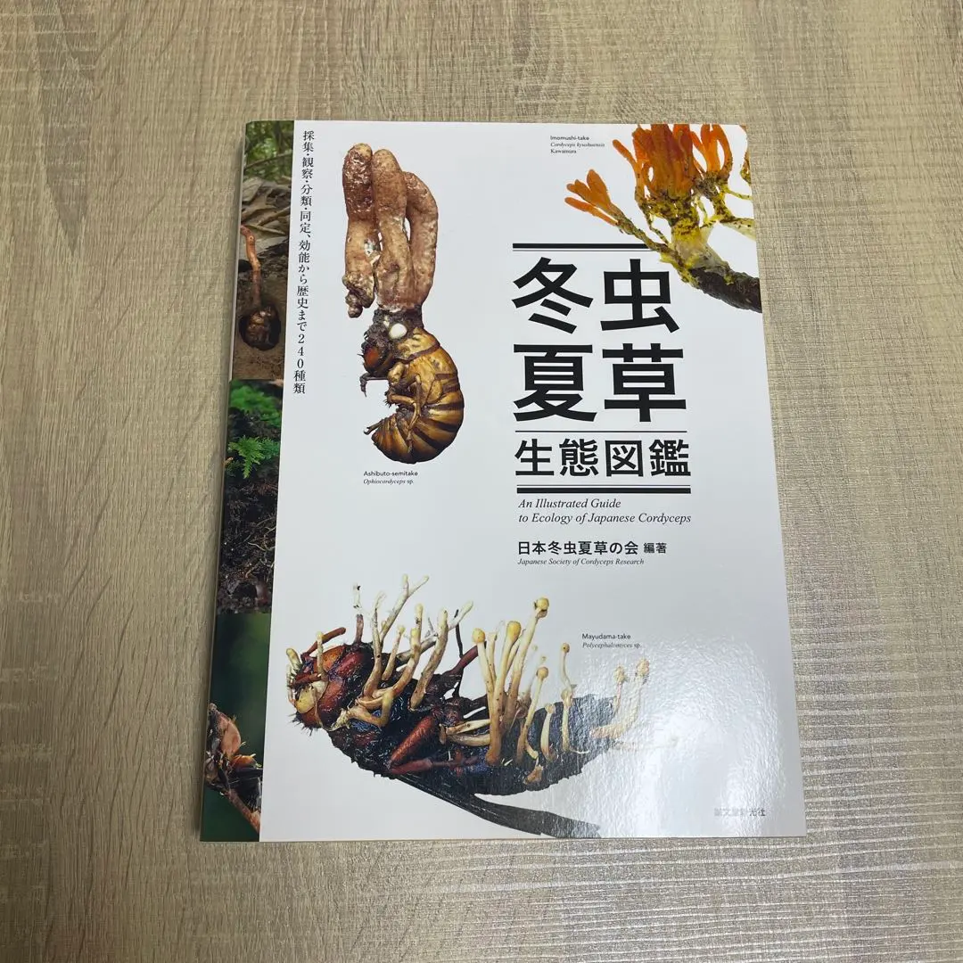 2026年最新】冬虫夏草図鑑の人気アイテム - メルカリ