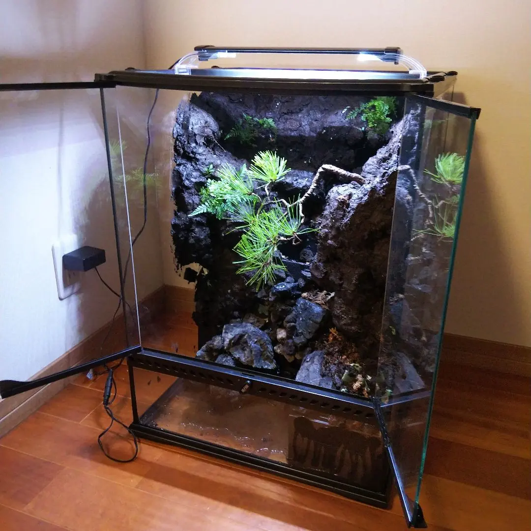 2026年最新】グラステラリウム 4560の人気アイテム - メルカリ