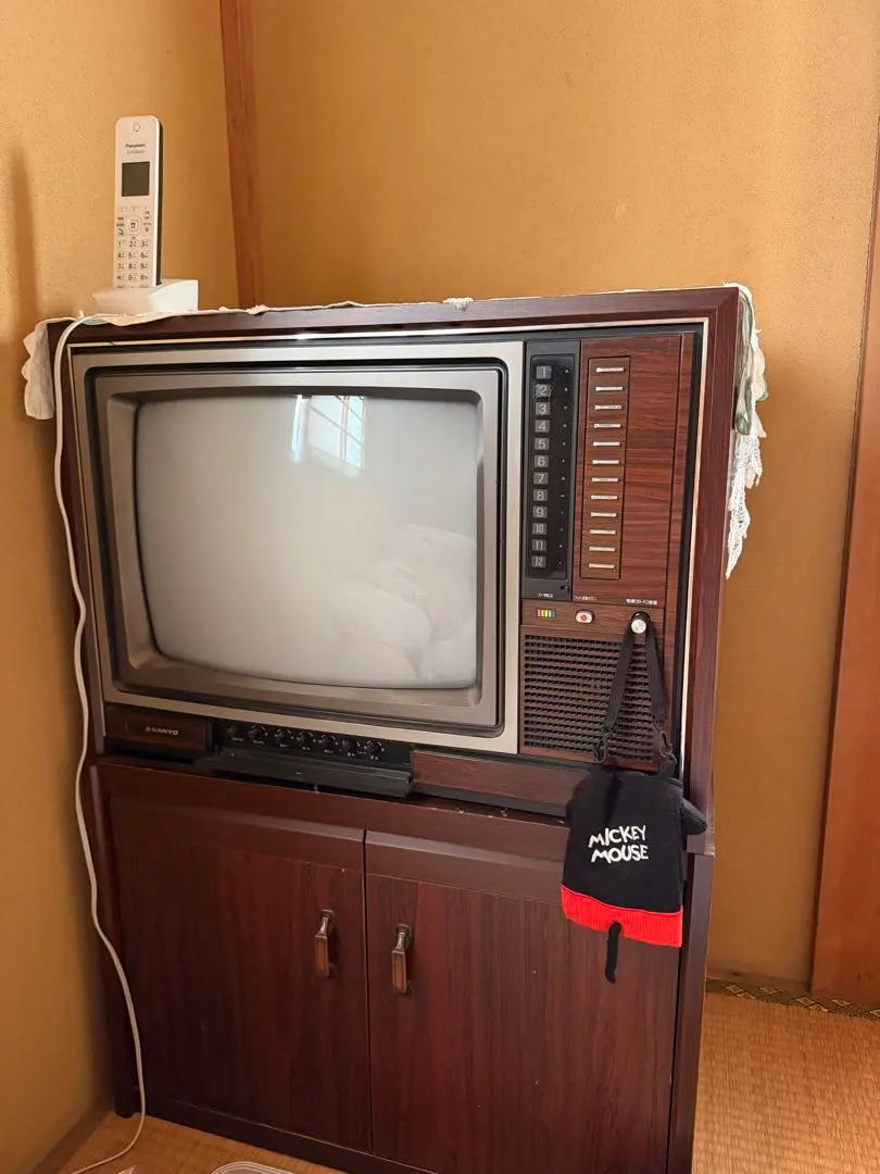 2026年最新】SANYO ブラウン管テレビ・テレビデオの人気アイテム