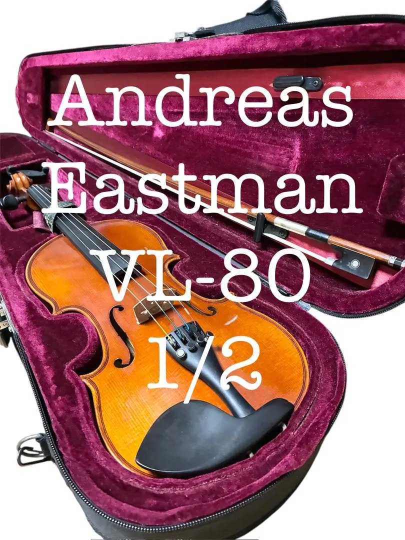 2026年最新】EASTMAN vl80の人気アイテム - メルカリ