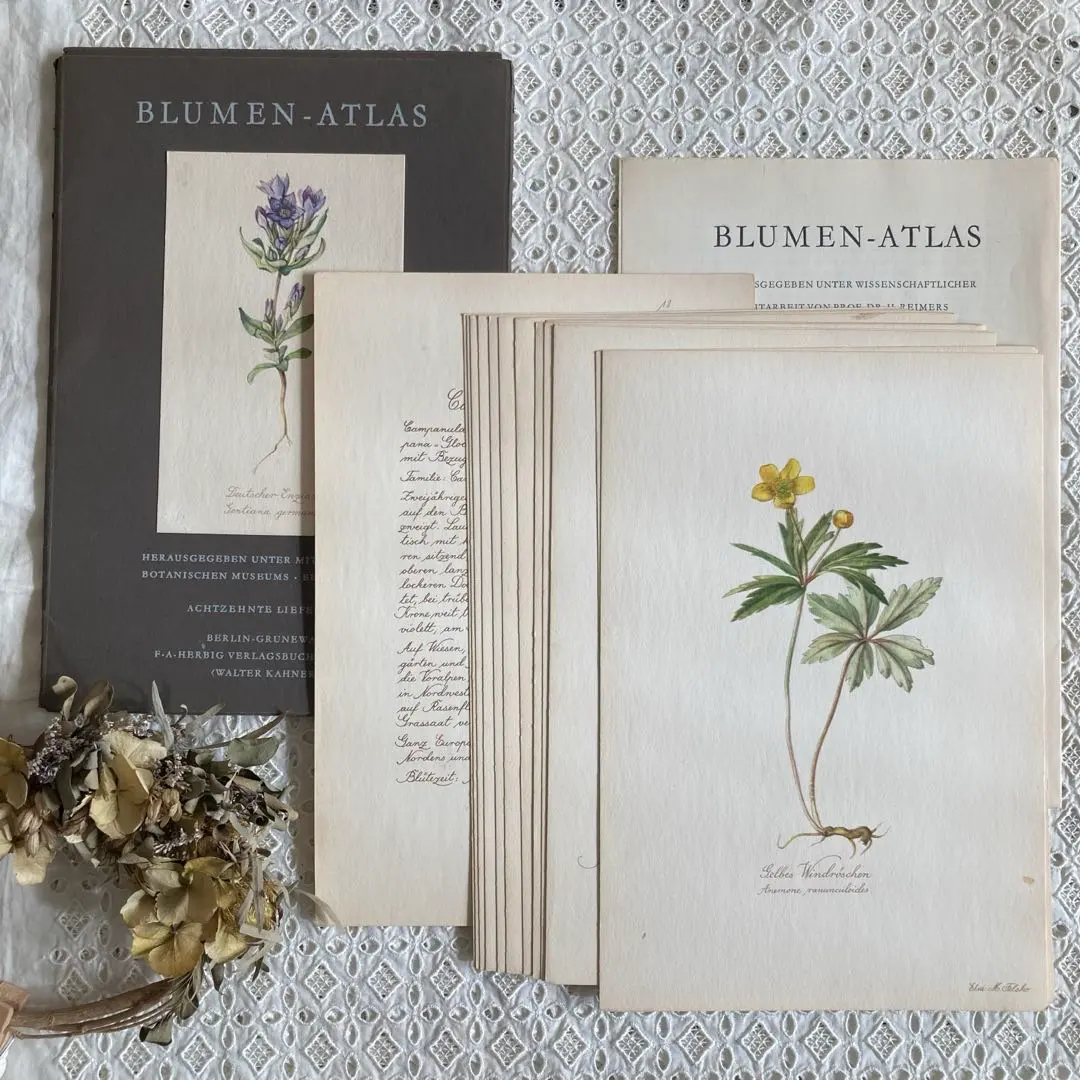 2026年最新】elsa felskoの人気アイテム - メルカリ