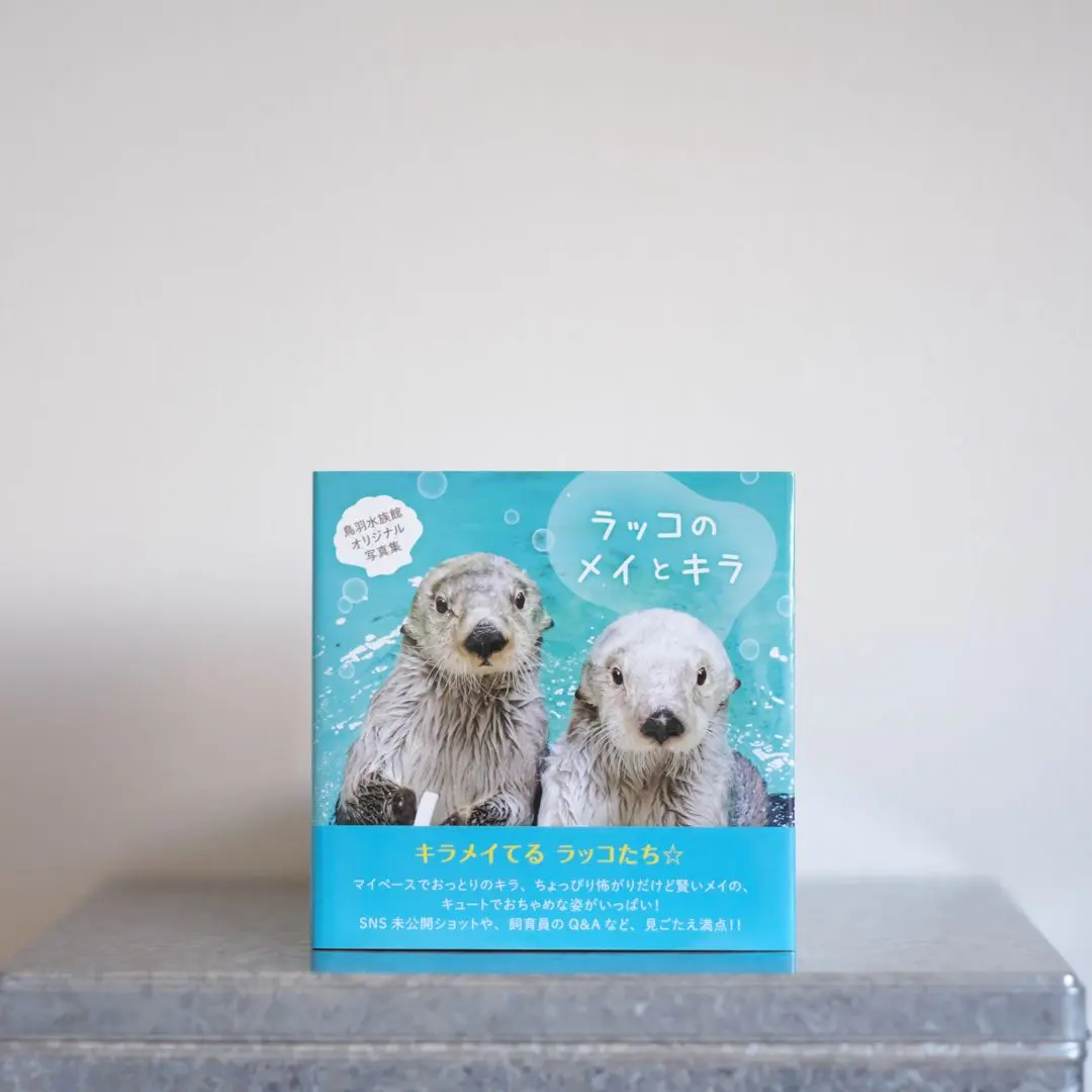 2026年最新】ラッコ 写真集の人気アイテム - メルカリ