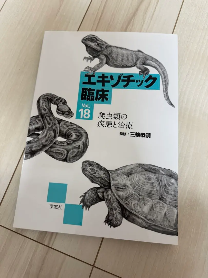 2026年最新】エキゾチック臨床の人気アイテム - メルカリ