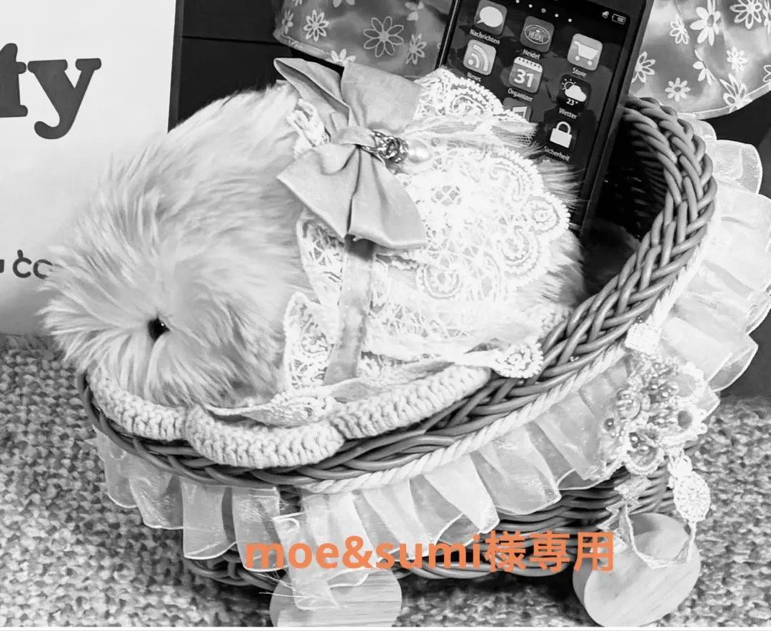 2026年最新】モフリン グレーの人気アイテム - メルカリ