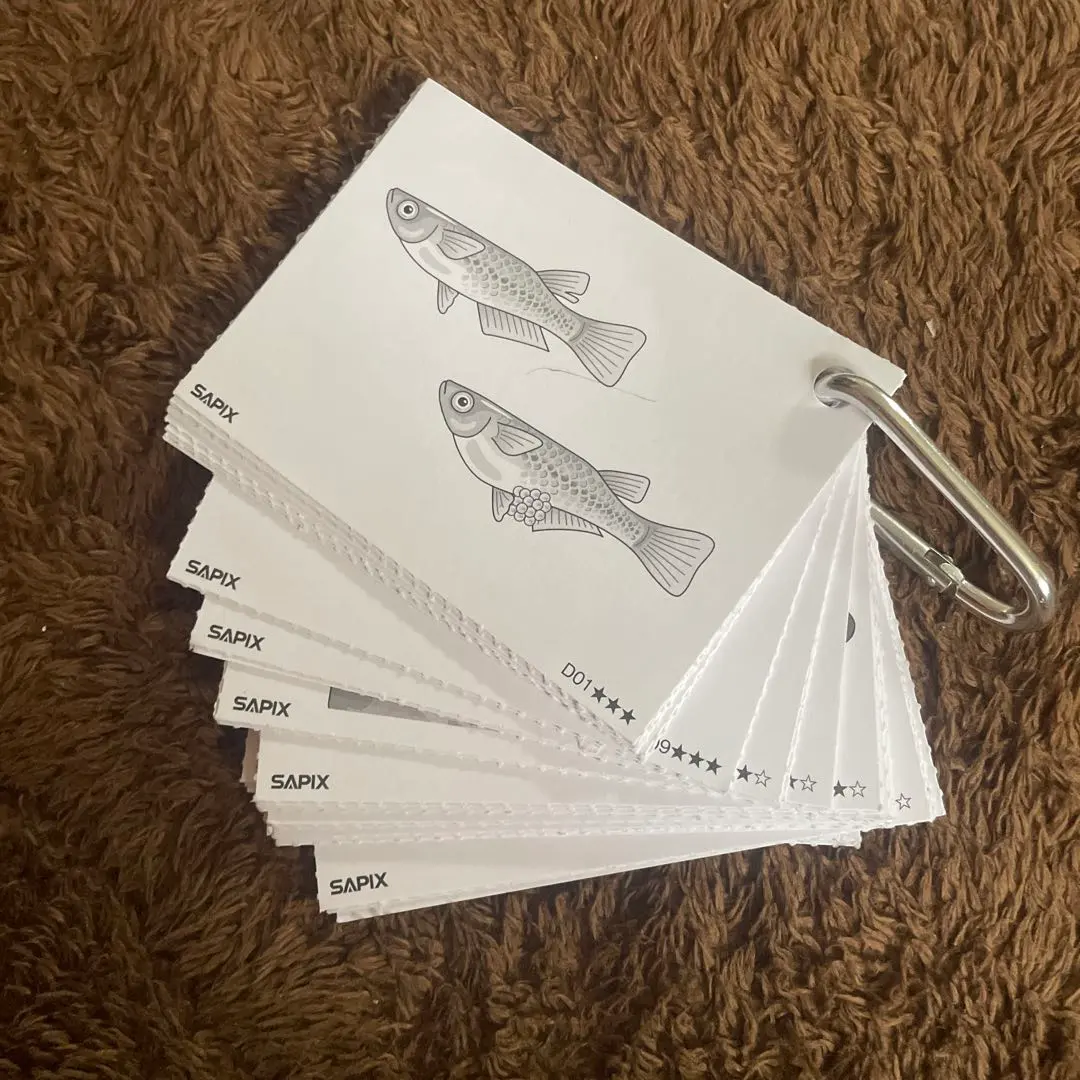 2026年最新】サピックス カード 動物 植物の人気アイテム - メルカリ