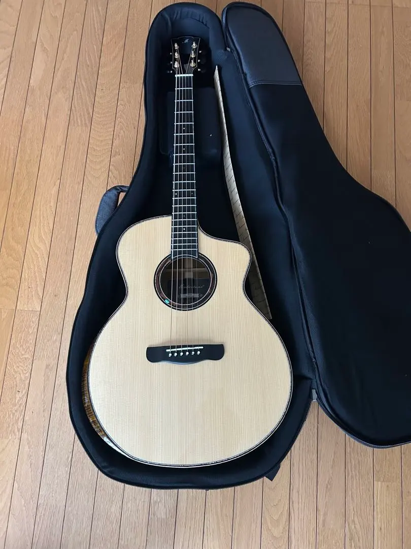 2026年最新】MERIDA ギターの人気アイテム - メルカリ