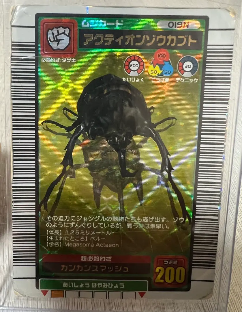 2026年最新】ムシキング 5周年 アクティオンゾウカブトの人気アイテム