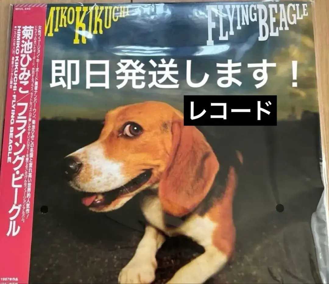 2026年最新】菊池ひみこの人気アイテム - メルカリ