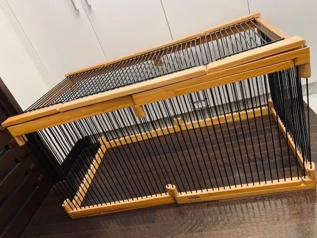 2026年最新】メディカル60 フェレットの人気アイテム - メルカリ