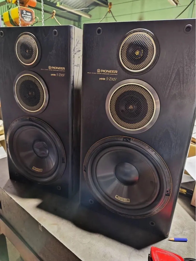 2026年最新】パイオニア プライベート proの人気アイテム - メルカリ