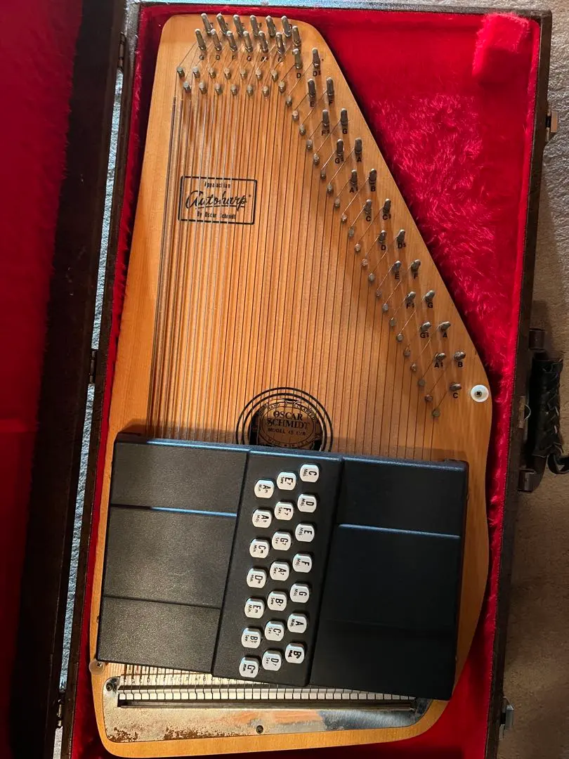 2026年最新】オートハープの人気アイテム - メルカリ