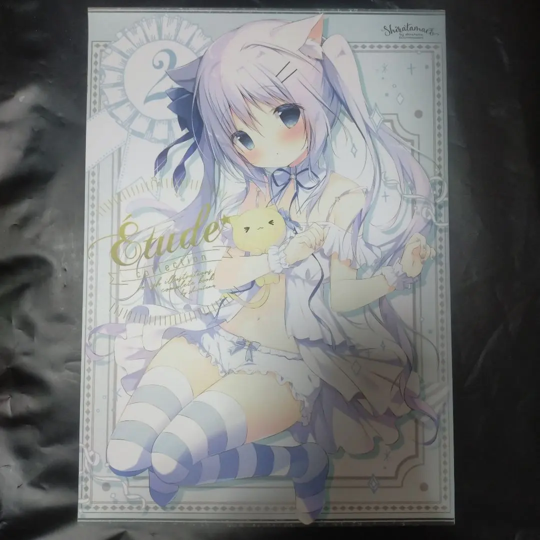 2026年最新】しらたまこ ブランケットの人気アイテム - メルカリ