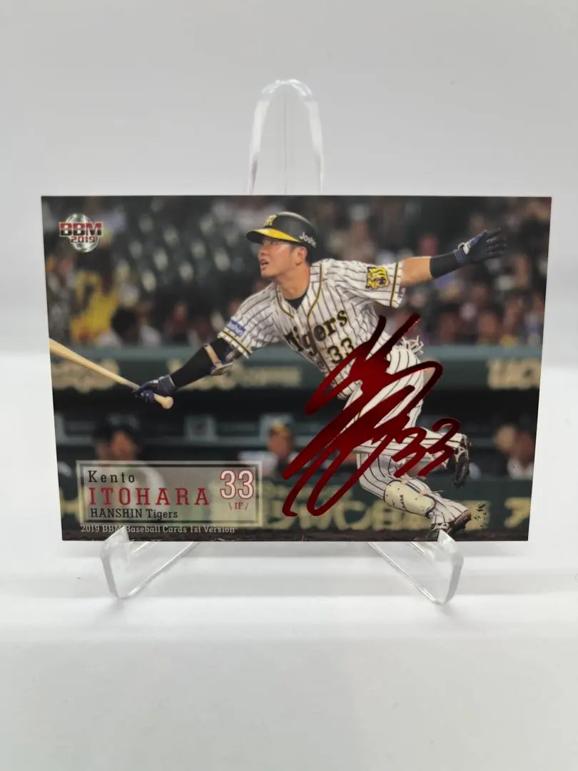 2026年最新】糸原健斗 サインカードの人気アイテム - メルカリ