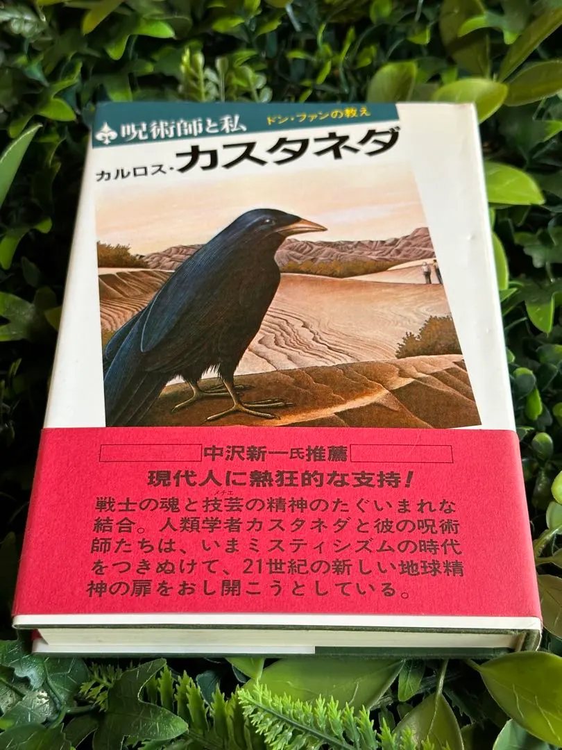 2026年最新】呪術師 ドン・ファンと私の人気アイテム - メルカリ