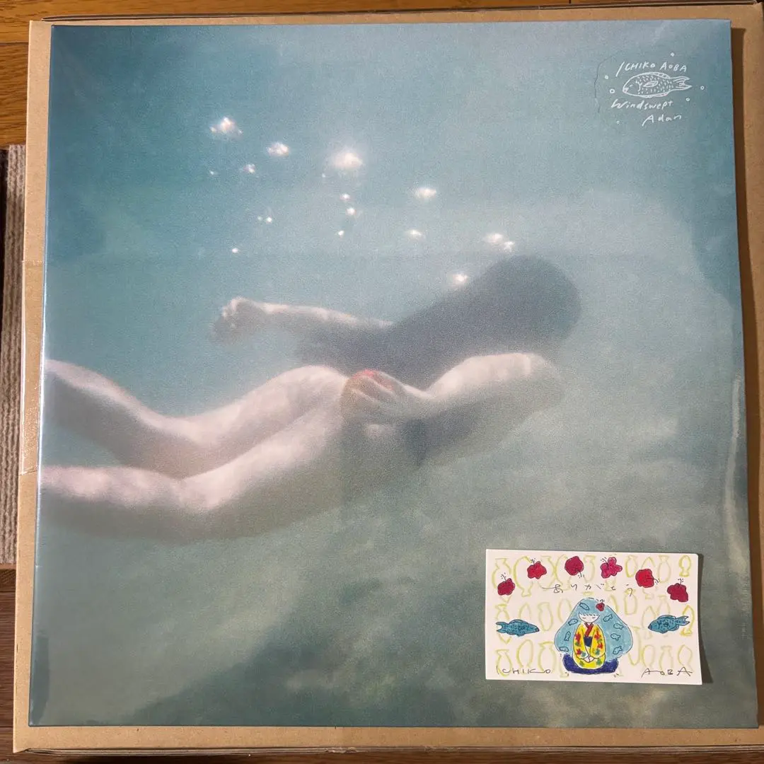 2026年最新】青葉市子 アダンの風の人気アイテム - メルカリ