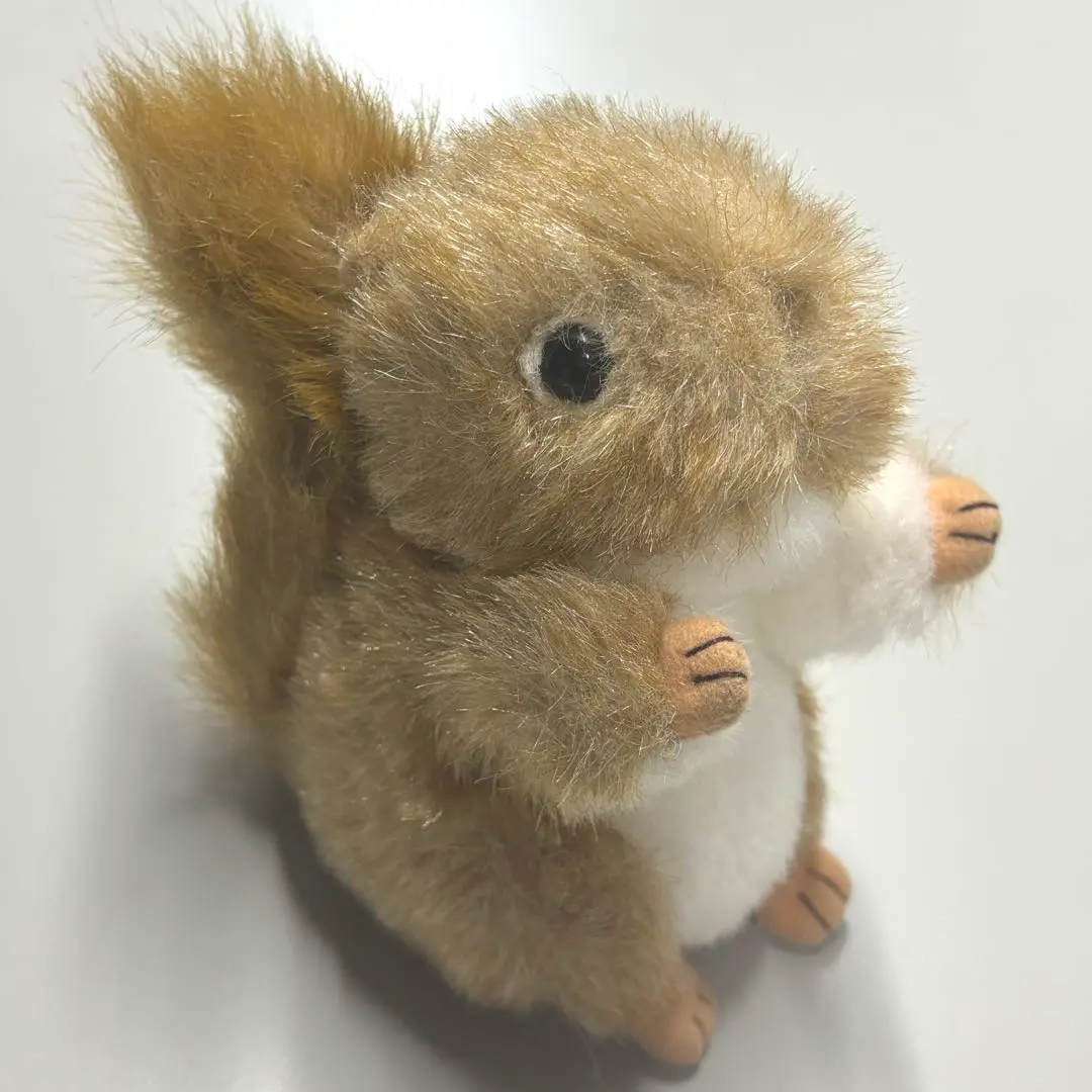 2026年最新】ANIMAL alleyの人気アイテム - メルカリ