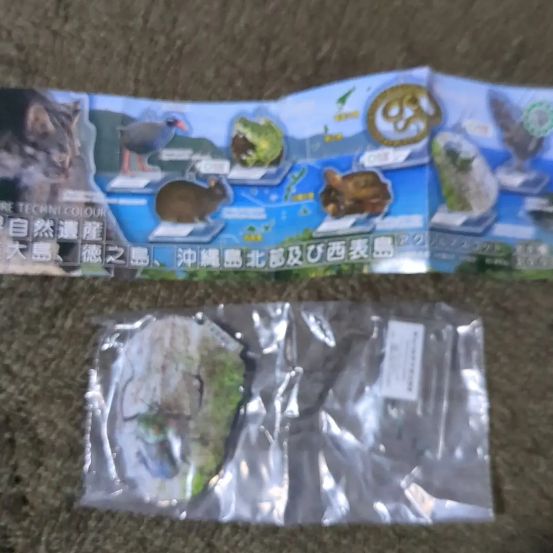 2026年最新】テナガコガネの人気アイテム - メルカリ