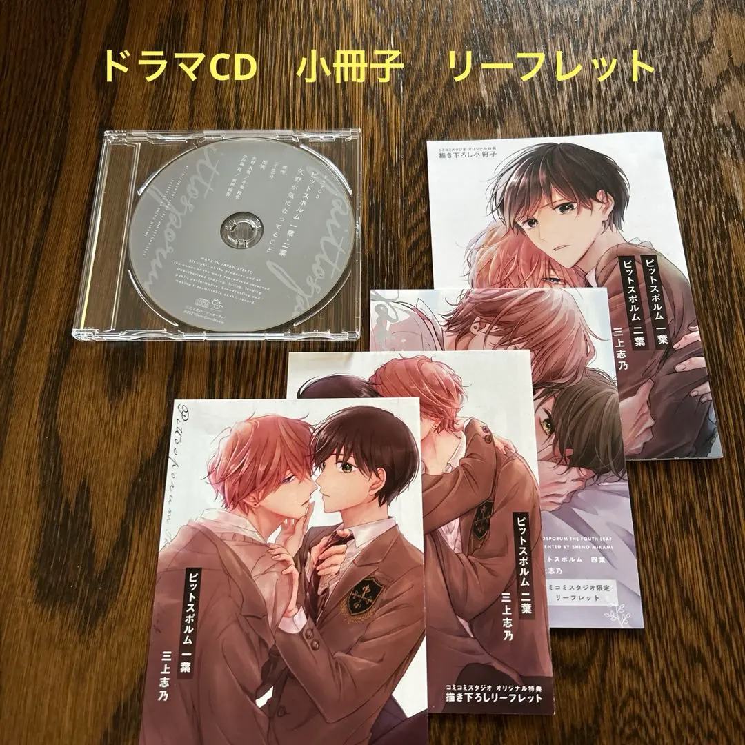 2026年最新】ピットスポルムリーフレットの人気アイテム - メルカリ