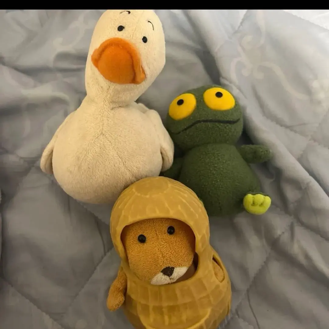 2026年最新】バムとケロ ぬいぐるみ セットの人気アイテム - メルカリ