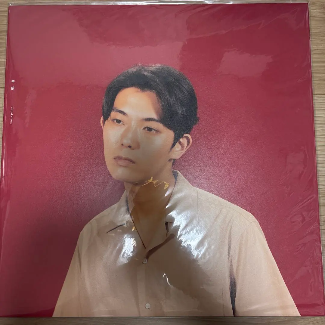 2026年最新】折坂悠太 レコード 平成の人気アイテム - メルカリ